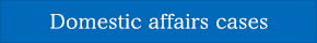 Domestic affairs cases